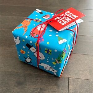 LUSH Secret Santa Bath Bomb Gift Set, Holiday Self Care Pampering Spa Vegan